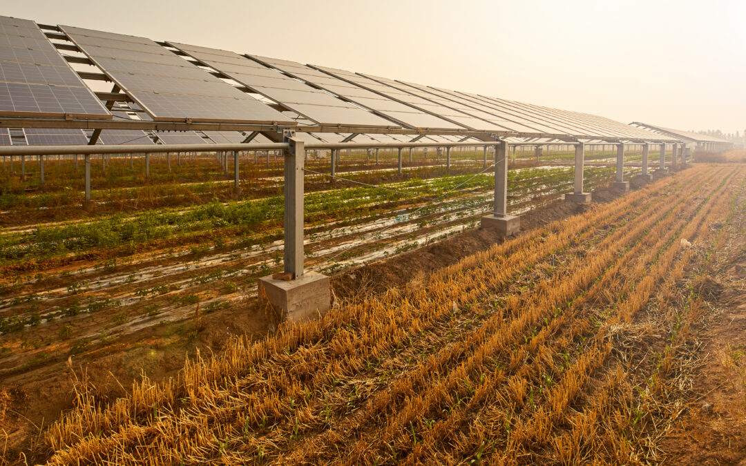 Funding freeze hits rural energy grant recipients