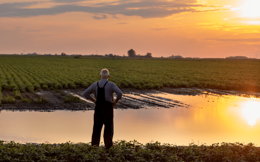 AP, ABC, CBS, FOX, NBC: The Current Grant Freeze Inadvertently Betrays Rural America